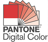 PANTONE LOGO